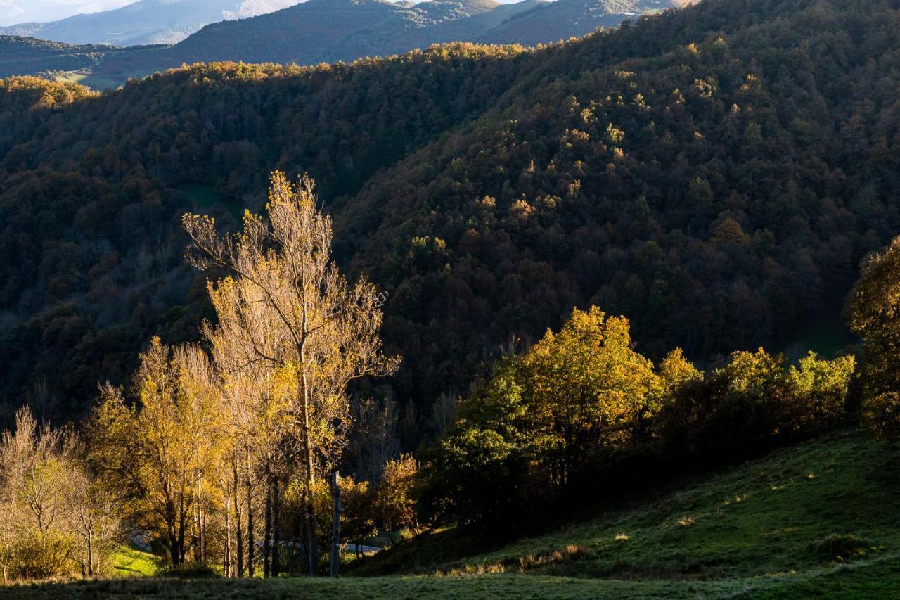 Apartamentos Los Picos De Europa Colio 외부 사진